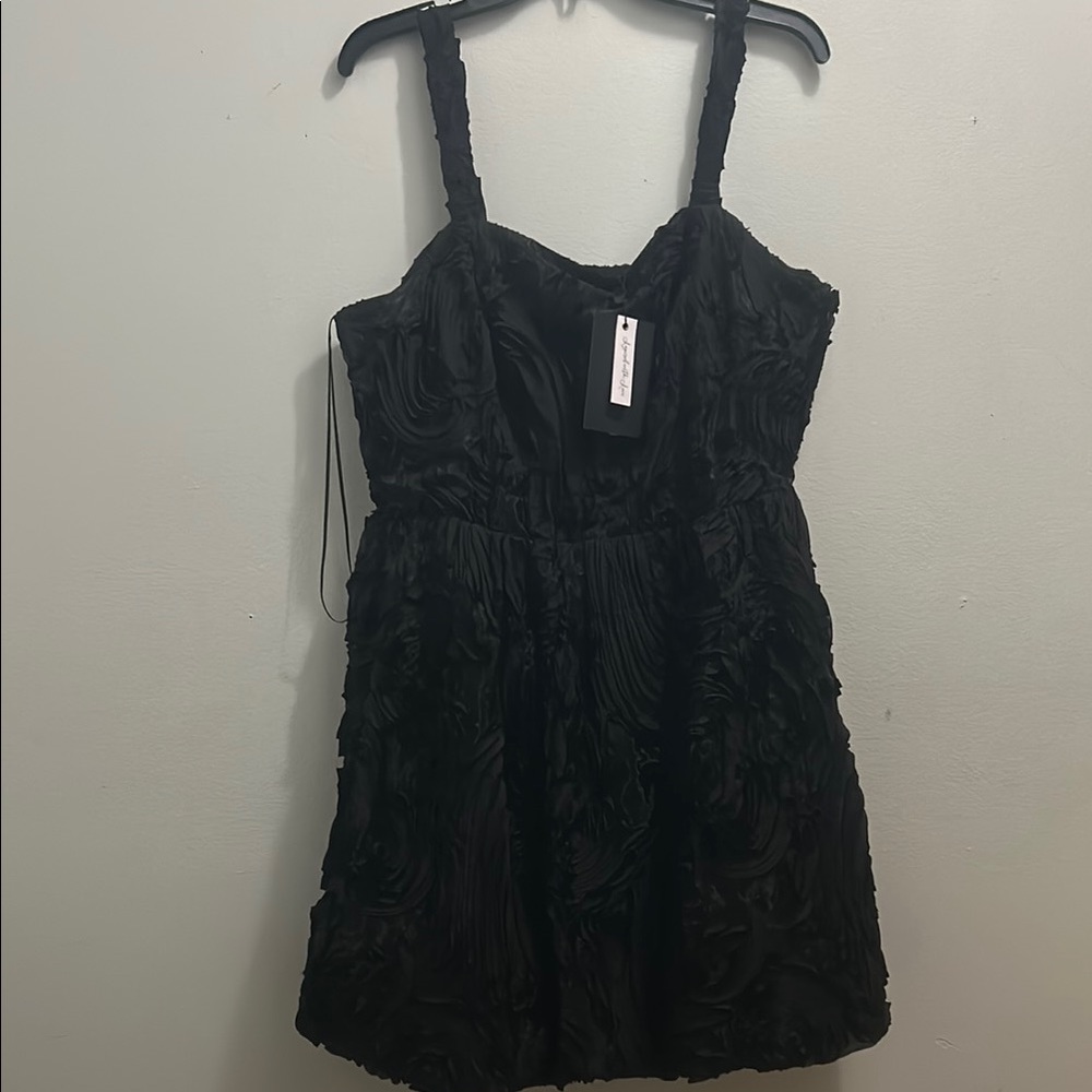 Elegant Black Textured balloon hem dress